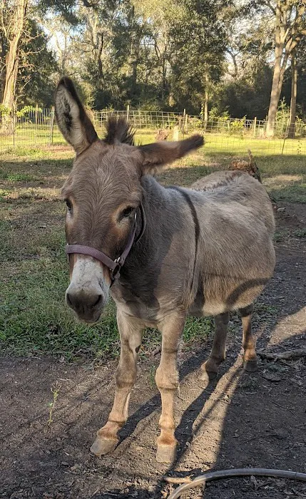 RV Park at 2 J's Farm Picture 1