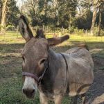 RV Park at 2 J's Farm