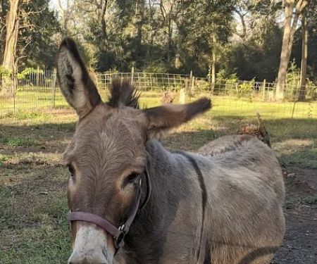 RV Park at 2 J's Farm
