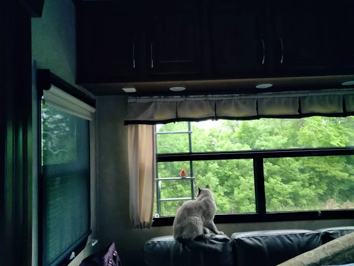 Barnyard RV Picture 3