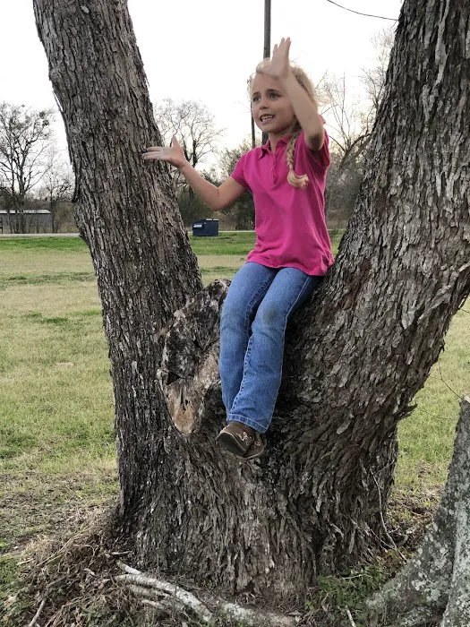 Barnyard RV Picture 8