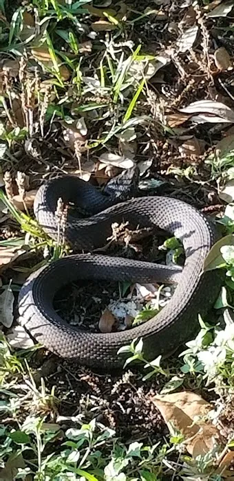 Bert's RV Park & Propane Picture 3