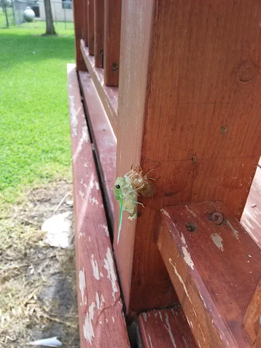 Corral Rv Park Picture 1