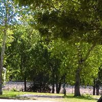 Travelers Paradise RV Park ico