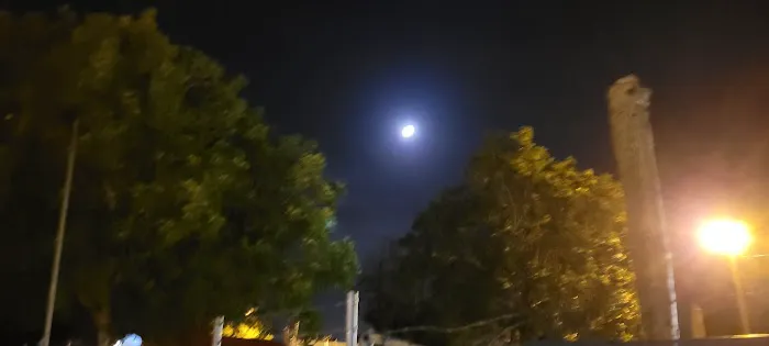 Travelers Paradise RV Park Picture 6