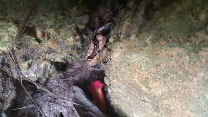 Green Acres Rv Park Picture 2