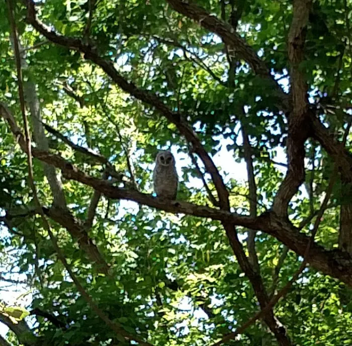 Oyster Creek RV Ranch Picture 10