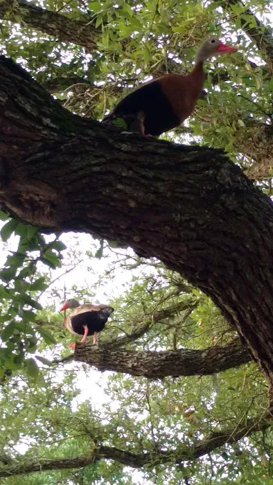 Oyster Creek RV Ranch Picture 7