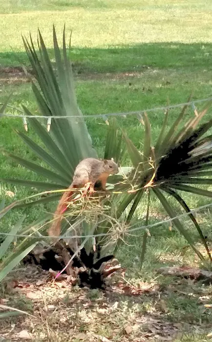 Oyster Creek RV Ranch Picture 6