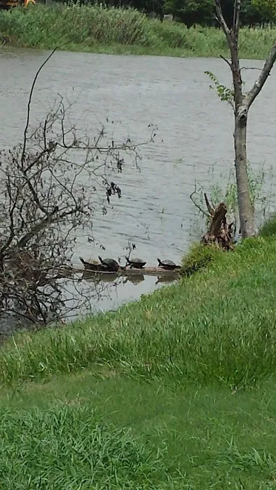 Oyster Creek RV Ranch Picture 5