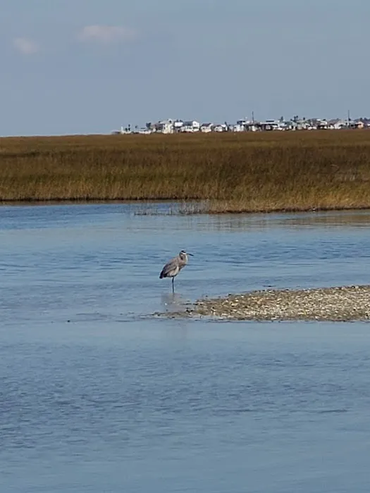 Cedar Cut RV Park Picture 8