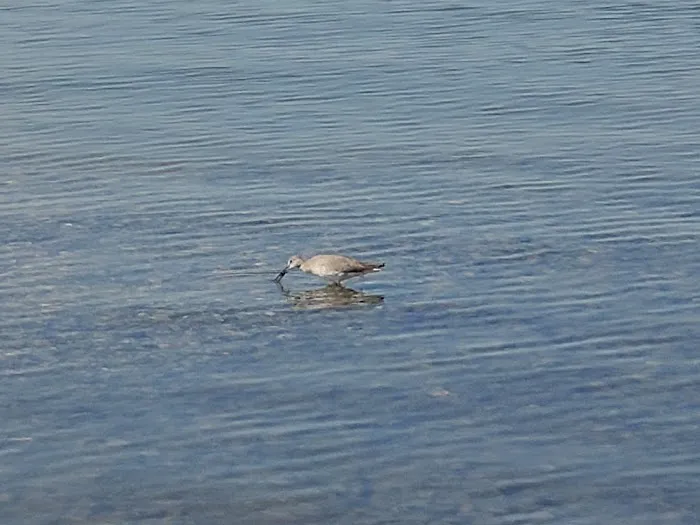 Cedar Cut RV Park Picture 2