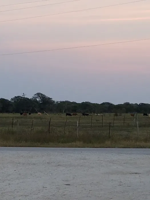 Evergreen RV Park Picture 3