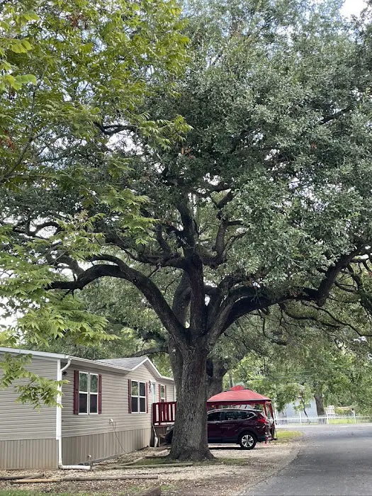 Clute Mobile Home & RV Park Picture 2