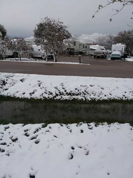 Brazos Mobile RV Park Picture 5
