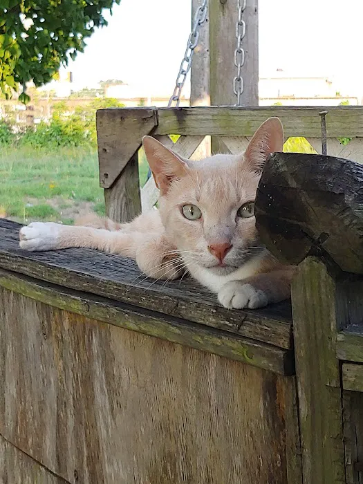 Brazos Mobile RV Park Picture 6