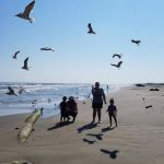 Brazos Mobile RV Park