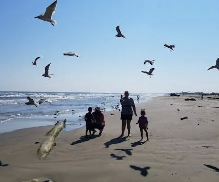 Brazos Mobile RV Park