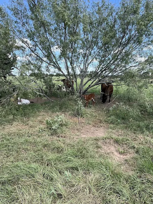 Lazy J RV Ranch Picture 10