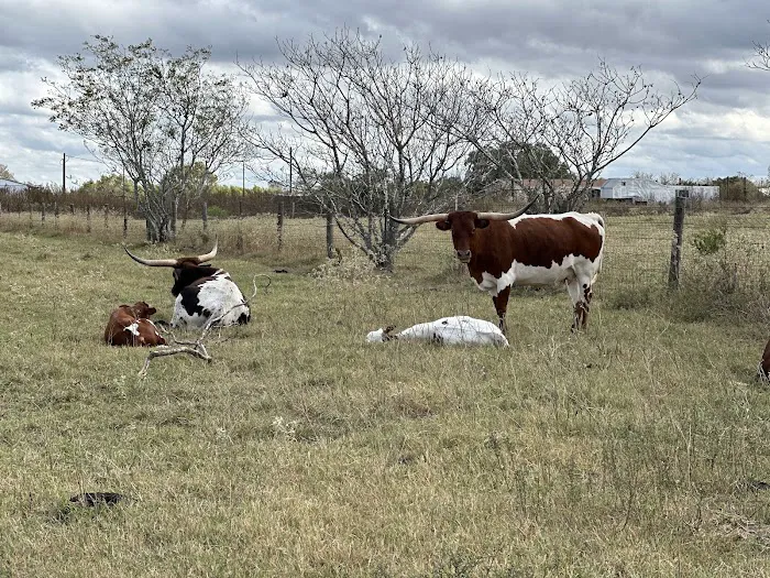 Lazy J RV Ranch Picture 9