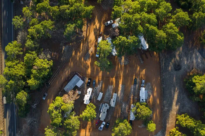 The Pines at Bastrop RV Park Picture 1