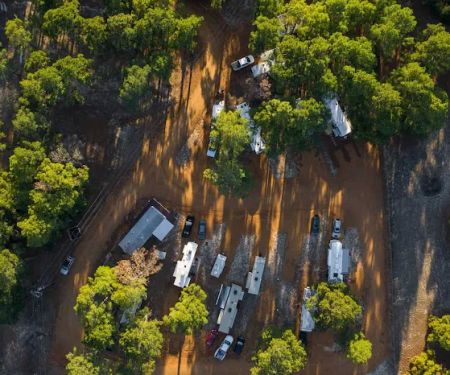 The Pines at Bastrop RV Park
