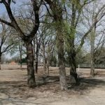 Sunny Bastrop RV Park