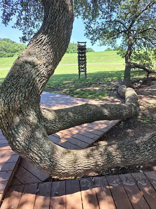 Schulenburg 3 Oaks RV Resort Picture 6