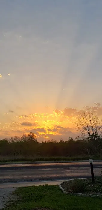 Schulenburg 3 Oaks RV Resort Picture 2