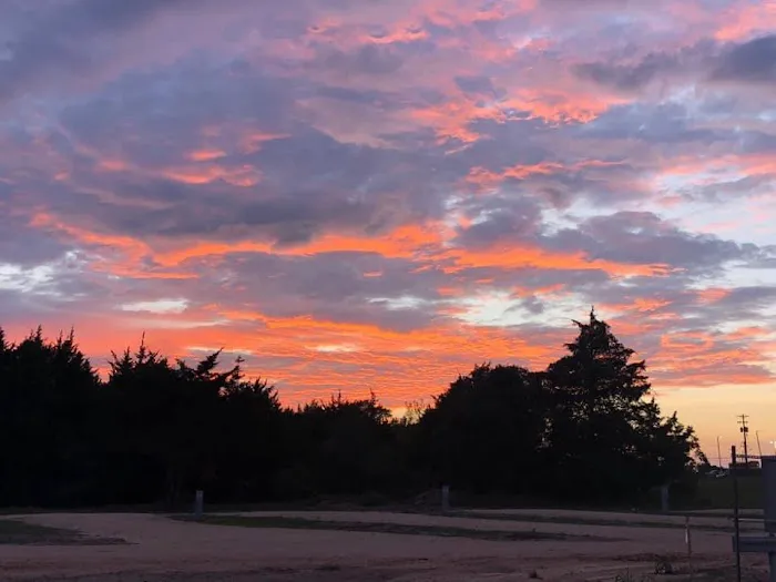 Schulenburg 3 Oaks RV Resort Picture 4