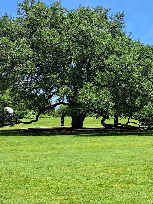 Schulenburg 3 Oaks RV Resort Picture 10