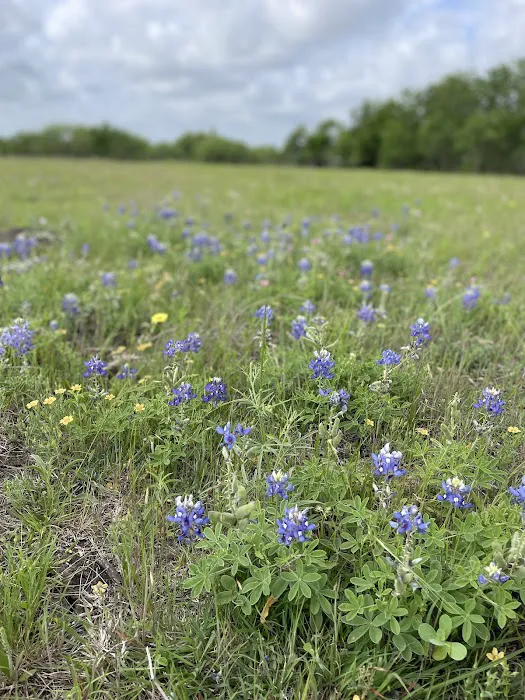 Under The Stars RV Park Picture 2
