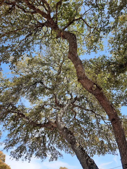 Whispering Oaks RV Park Picture 10