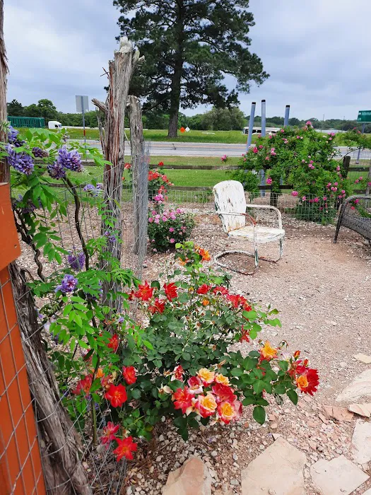 Whispering Oaks RV Park Picture 8