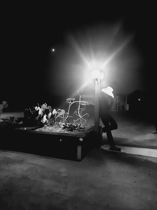 Whispering Oaks RV Park Picture 6