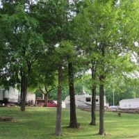 The Meadows RV Park ico