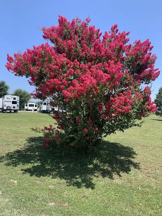 Leisure Time RV Park Picture 4