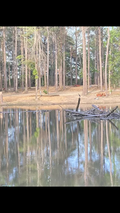 Redwood RV Park Picture 10