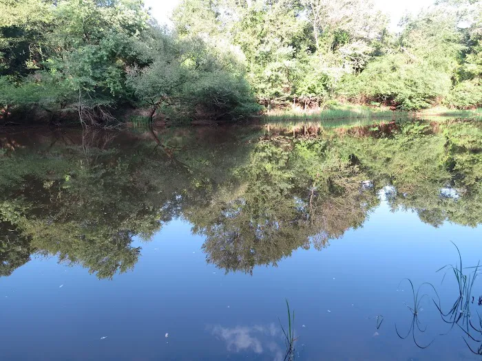 Beaver's Run RV Park & Fish Camp Picture 5