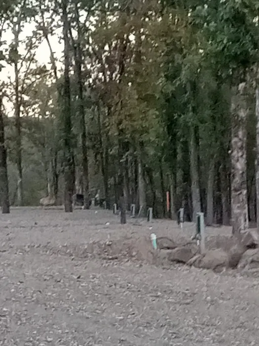 Lower Mountain Fork RV Park Picture 9