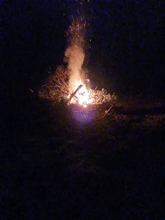Lower Mountain Fork RV Park Picture 4