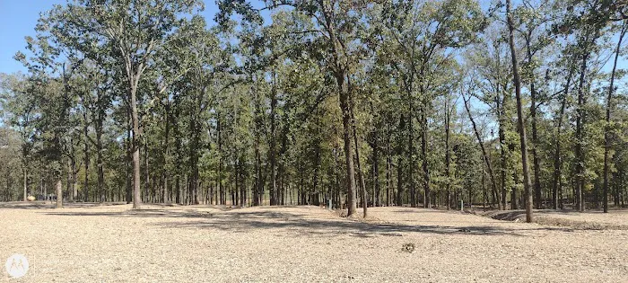 Lower Mountain Fork RV Park Picture 5
