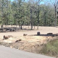 Lower Mountain Fork RV Park ico