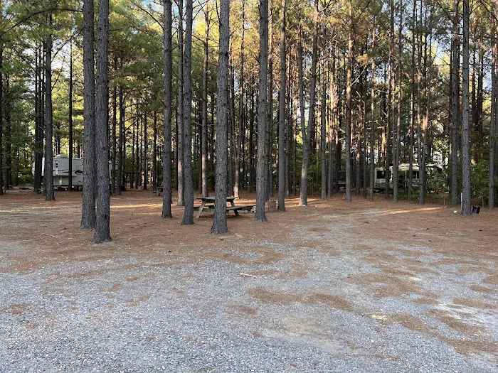 Little Pine Cabins & RV Park Picture 7