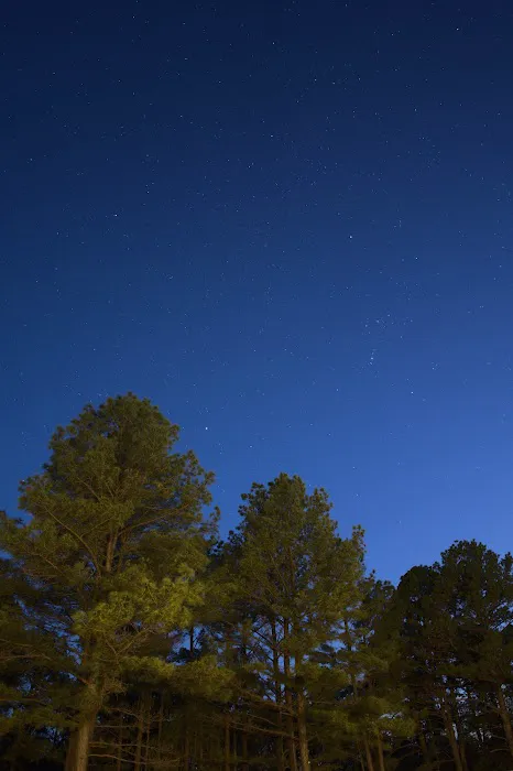 Little Pine Cabins & RV Park Picture 2