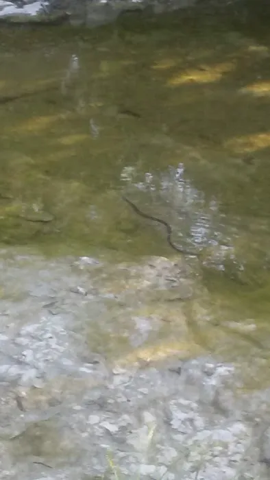 Brookfield Mobile Home Park Picture 1