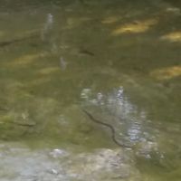 Brookfield Mobile Home Park ico