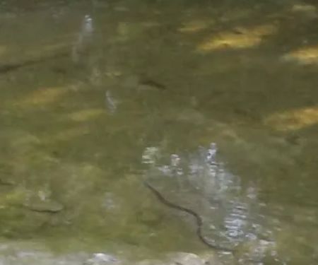 Brookfield Mobile Home Park