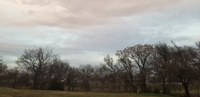 Cicada Springs RV Park Picture 2