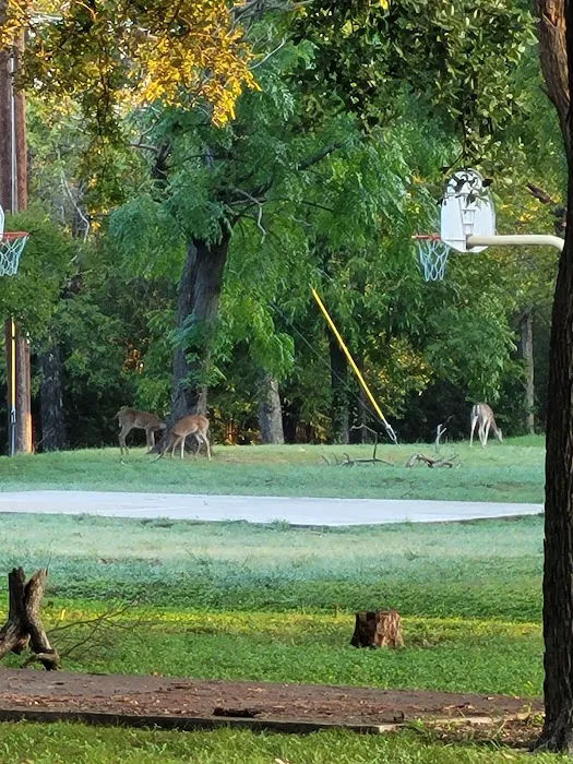 Elm Grove Estates & RV Community Picture 6